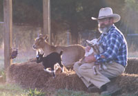Photo of the Goats